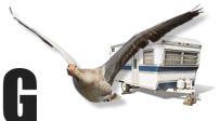 Caravanstalling Develgans I Caravanstalling in Zwijndrecht I Heerjansdam I Hendrik-Ido-Ambact I Dordrecht I Rijsoord I Oostendam I Alblasserdam I Sliedrecht I Papendrecht I Ridderkerk I Rotterdam I Zuid-Holland