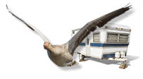 Caravanstalling Develgans I Caravanstalling in Zwijndrecht I Heerjansdam I Hendrik-Ido-Ambact I Dordrecht I Rijsoord I Oostendam I Alblasserdam I Sliedrecht I Papendrecht I Ridderkerk I Rotterdam I Zuid-Holland